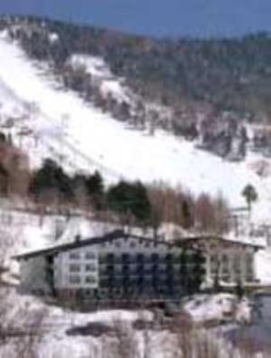 Hotel Kodama Yamanouchi  Luaran gambar